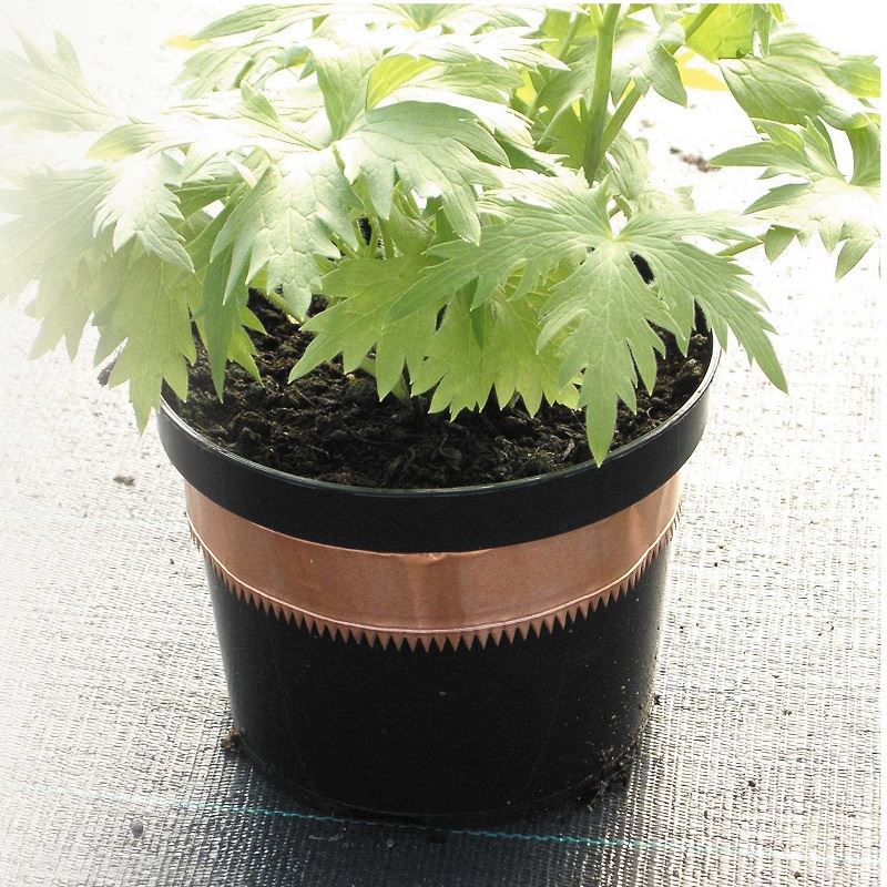 copper barrier tape.jpg